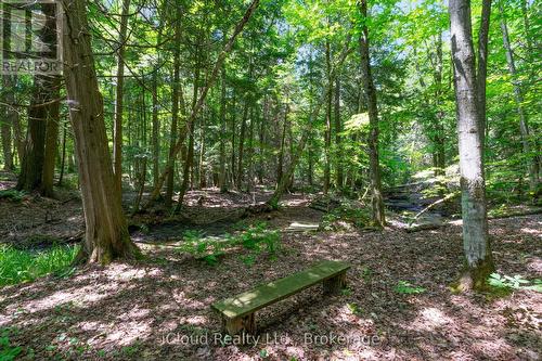 487202 30 Sdrd Side Road, Mono, ON - Outdoor