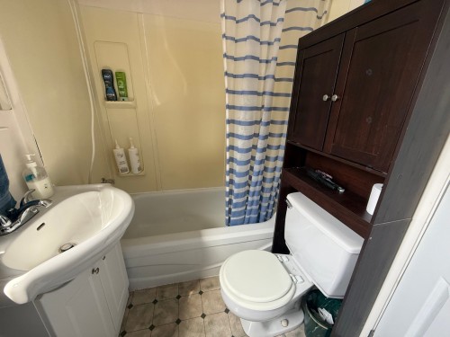 Bathroom - 22  - 22A Rue Notre-Dame O., Lorrainville, QC - Indoor Photo Showing Bathroom
