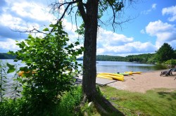 Bord de l'eau - 
