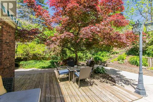Decorative trees - 1774 Old Mill Road, Kitchener, ON 