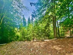 LOT 46 Lichen Road Anglemont, BC V0E 1M8