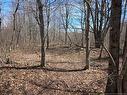 1175 Route 127, Rollingdam, NB 