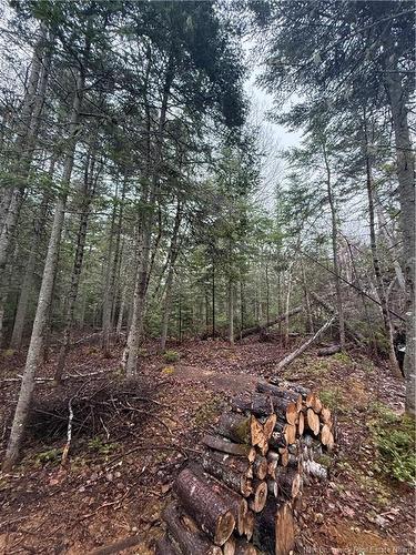 Lot 98-2 Dundas Rd, Grande-Digue, NB 