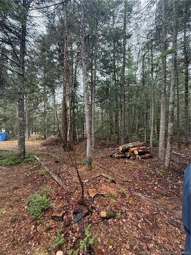 Lot 98-2 Dundas Rd, Grande-Digue, NB 