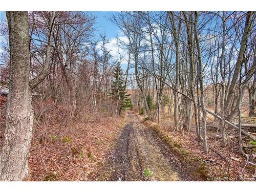 450 Eel River Rd, Baie-Sainte-Anne, NB 