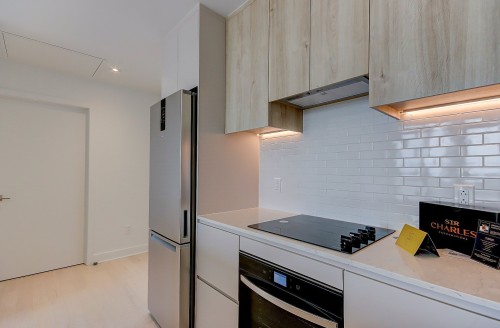 Kitchen - 1120-200 Rue Marie-Charles-Le Moyne, Longueuil (Le Vieux-Longueuil), QC - Indoor Photo Showing Kitchen
