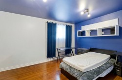 Family Room - 
