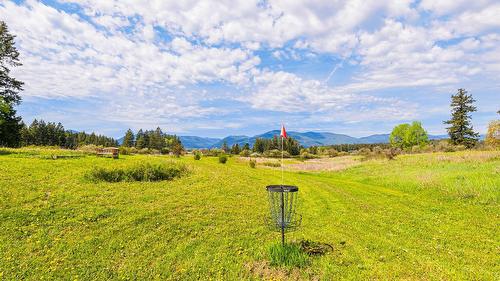 3681 8Th Street, Creston, BC - Outdoor With View