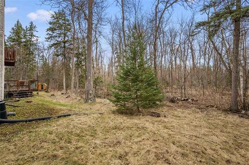 67053 Spruce Rd, Springfield, MB 