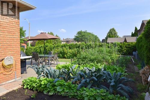 36 Tommar Place, Hamilton, ON - Outdoor