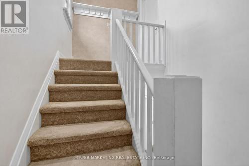 391 Greenwood Avenue, Ottawa, ON 