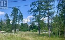 0 SYMOND AVENUE Oro-Medonte, ON L0L 2E0