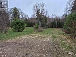 LOT 16 VIBURNUM VALE ROAD  Mattawan, ON P0H 1V0