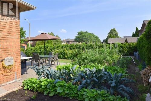 Expansive garden area featuring various plantings and a paved patio - 36 Tommar Place, Hamilton, ON - Outdoor