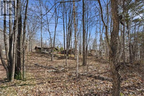 2349 N BAPTISE LAKE ROAD  Hastings Highlands (Herschel Ward), ON K0L 1C0