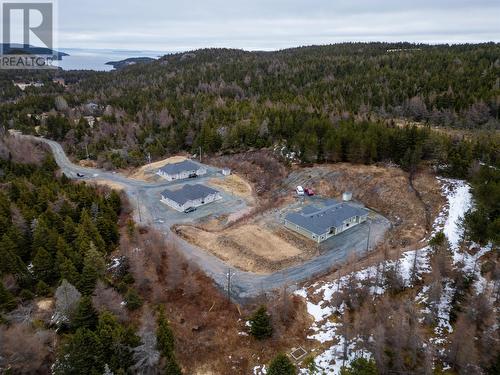 39 Southern Path Road, Conception Harbour, NL 