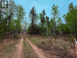 5420 UPPER HOUSEMAN ROAD Forest Grove, BC V0K 1G0