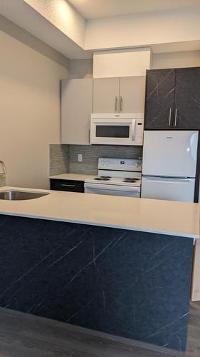 10919 97 Street Nw, Edmonton, AB - Indoor Photo Showing Kitchen