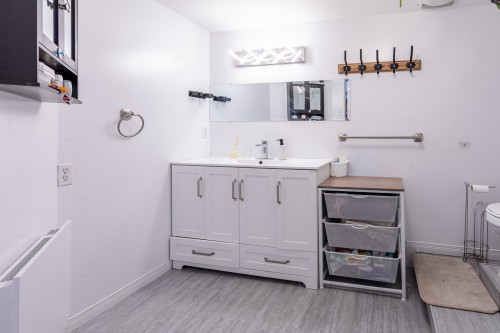 Salle de bains - 270 Ch. Des Bouleaux, Shawinigan, QC - Indoor Photo Showing Bathroom