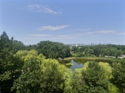 View - 