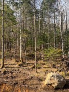 Lot - 