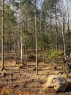Terre/Terrain - Route 349, Saint-Didace, QC 