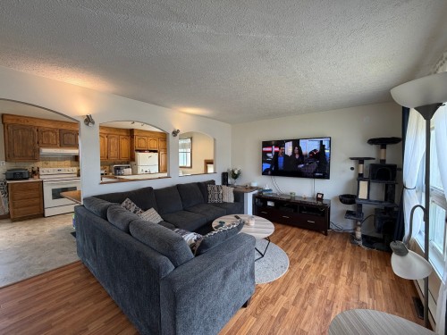Salon - 3225 Rue Brébeuf, Boisbriand, QC - Indoor Photo Showing Living Room