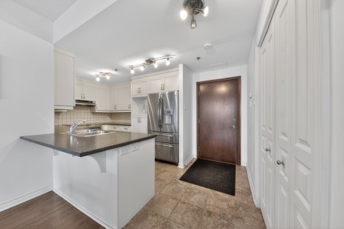 Cuisine - 305-2435 Rue Des Nations, Montréal (Saint-Laurent), QC - Indoor Photo Showing Kitchen With Double Sink