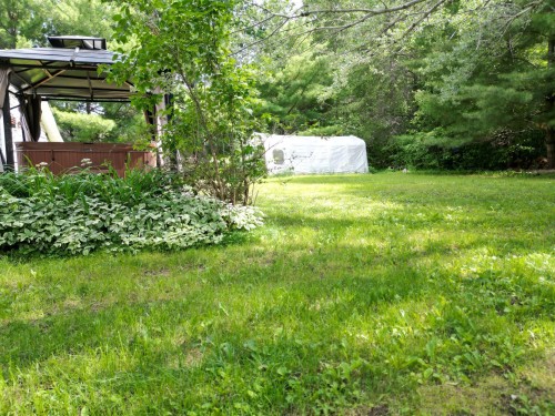 Cour - 326 Route 101 S., Duhamel-Ouest, QC - Outdoor