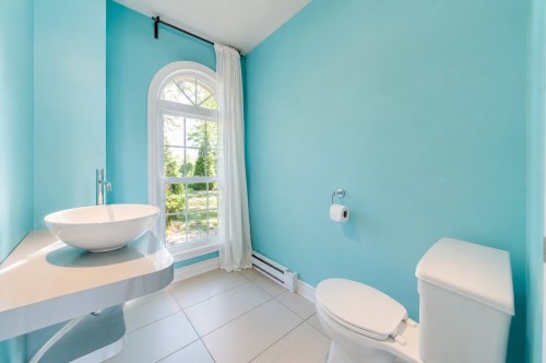 Salle d'eau - 10 Rue Mercier, Montréal (L'Île-Bizard/Sainte-Geneviève), QC - Indoor Photo Showing Bathroom