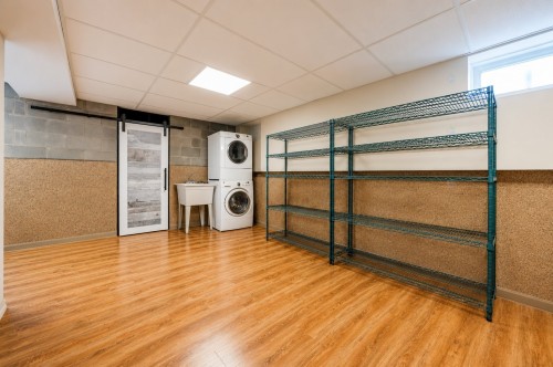 Salle familiale - 10 Rue Mercier, Montréal (L'Île-Bizard/Sainte-Geneviève), QC - Indoor Photo Showing Laundry Room
