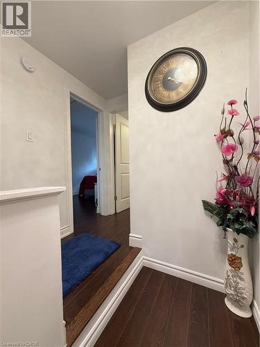 Dark wood-finish flooring extending through the hallway - 181 Thaler Avenue, Kitchener, ON 