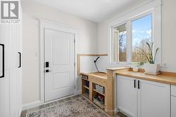 Dog wash station - 