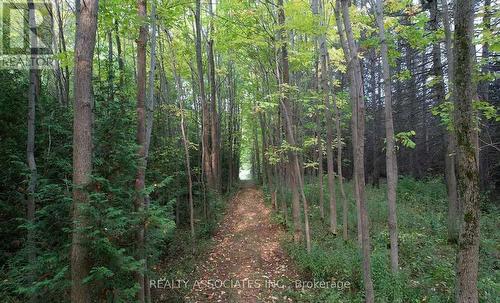 486289 30Th Side Road, Mono, ON - Outdoor With View