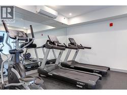 Gym - 