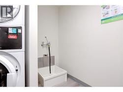 Dog Wash - 