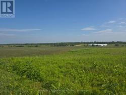 5177 HWY #6  Haldimand, ON N3W 1Z8