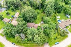 Nestled amongst the trees - 