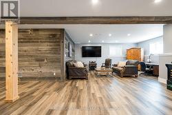 TV area in the recroom - vinyl plank flooring - 