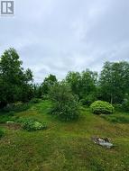 Garden - 