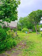 Garden - 