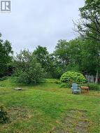 Garden - 
