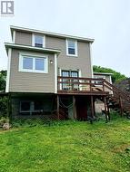 Back yard - 