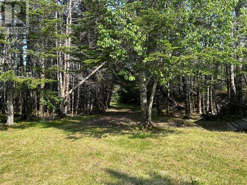 1B Colinet Road, Colinet, NL 