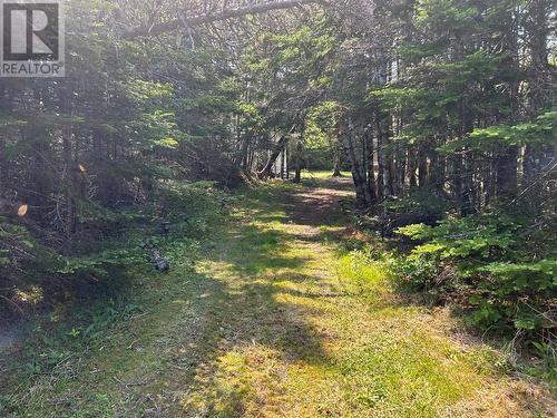 1B Colinet Road, Colinet, NL 