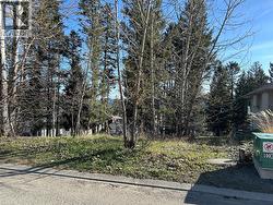 274 Calcite Drive Logan Lake, BC V0K 1W0