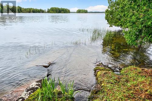 3 Scott Island, Rideau Lakes, ON 