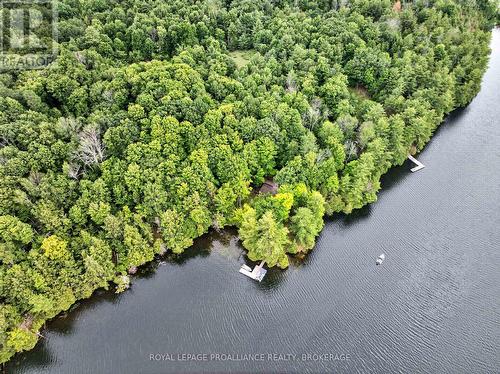 3 Scott Island, Rideau Lakes, ON 