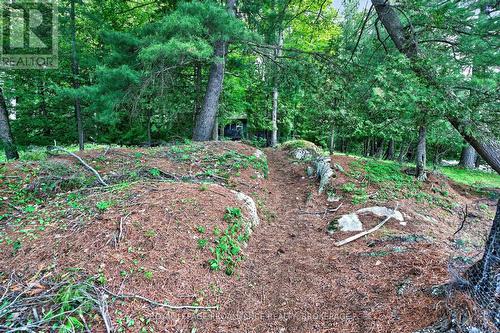 3 Scott Island, Rideau Lakes, ON 