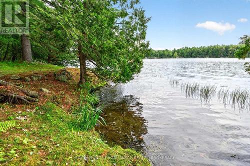 3 Scott Island, Rideau Lakes, ON 
